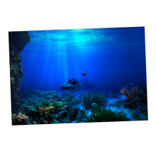 Fish Tank Single-sided Adhesive Background Sticker Marine 122x61cm