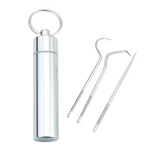 3Pcs Portable Stainless Steel Toothpicks Kit for Traveling Outdoor Cam