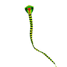 Huge Colorful Kite 3D Single Line Kite Easily Fly for Beach Backyard S