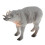 Simulation Animals Model Figure Kids Educational Toy Decor Babirusa 1