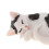 Simulation Animal Model Kids Educational Toys panda side sleeping PL12 3
