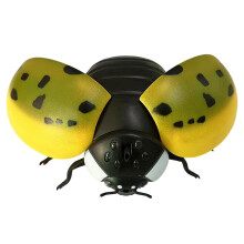Electric Crawling Insect Education and Learning Toys for Kids Boys Gir