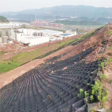 Ground Grid Paver HDPE Geocell 2m x 7m Heavy Load Support for Driveway Slope and Pathway Stabilization