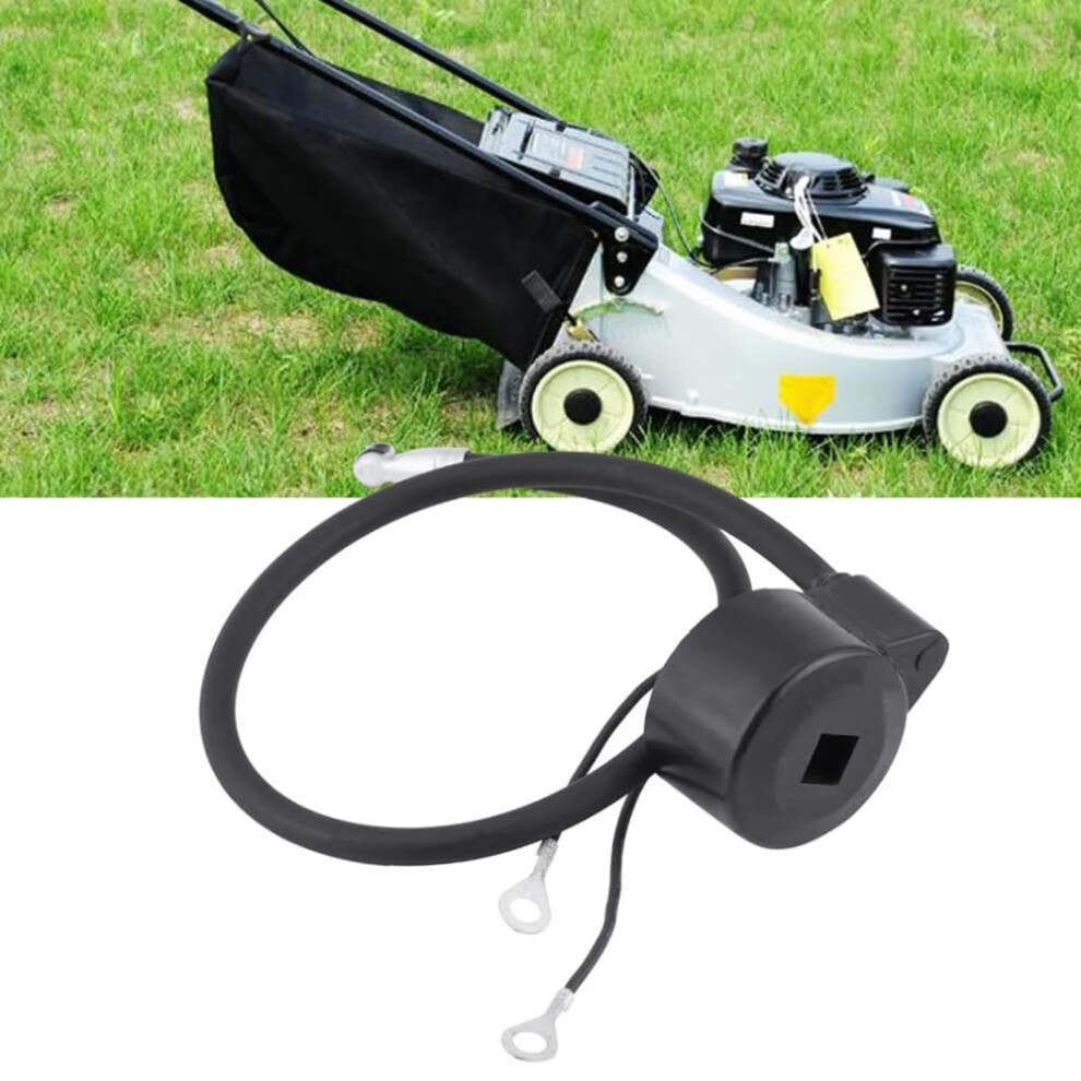 Ignition Coil Module For Tecumseh 30560A 29632 30546 610768 611038 Small Engine Replacement 9174973433859