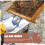 Beehive Frame Clip Stainless Steel Beekeeping Tool for Secure Frame Attachment and Easy Clip Operation 4