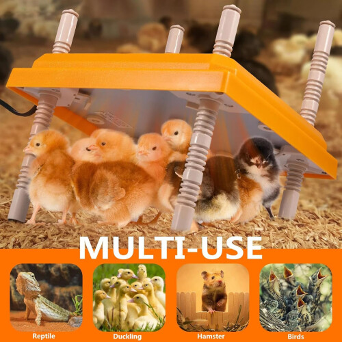 Chick Brooder Heater with Adjustable Height Angle, Energy Saving Heat Lamp for 15 Chicks 1