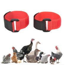 2 Pack Adjustable Rooster Crow Collar Nylon Red Chicken Noise Control Belt for Poultry Noise Reduction