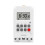 Digital Timer Switch AC 220V DC 12V 24 Hour 7 Day Programmable Time Relay with Weekly Settings 1