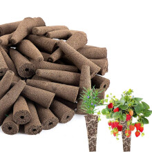 Replacement sponges for hydroponic growth systems, 50 pieces