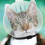 Cat muzzle, transparent snout to prevent biting  adjustable kitten astronaut helmet 5