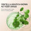 (Light Color)CC Cream with Centella Asiatica Color Correcting CC Cream Lightweight Skin 4