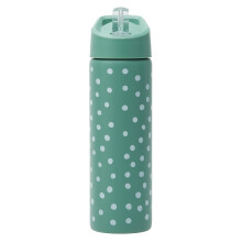 Smash Stainless Steel Water Bottle with Flip Top Lid and Straw Polka 750ml Green
