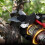 Parkside Cordless Garden Shears 35mm 16,8v 2aku 3