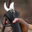 Parkside Cordless Garden Shears 35mm 16,8v 2aku 5