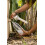 LifeStraw Go Series 1L 4