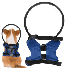 Blind dog bumper, lightweight, adjustable, training safety bumper, anticollision rings, protective device