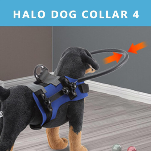 Blind dog bumper, lightweight, adjustable, training safety bumper, anticollision rings, protective device 1