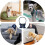 Blind dog bumper, lightweight, adjustable, training safety bumper, anticollision rings, protective device 3