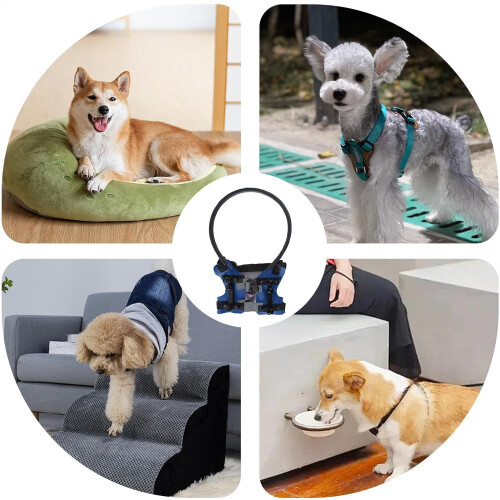 Blind dog bumper, lightweight, adjustable, training safety bumper, anticollision rings, protective device 2
