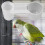 Bird Water Feeder SplashProof Double Port Automatic Poultry Drinker Cup for Parrots and Chickens 2