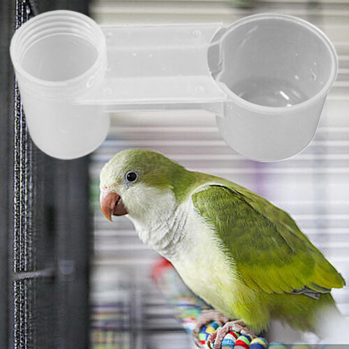 Bird Water Feeder SplashProof Double Port Automatic Poultry Drinker Cup for Parrots and Chickens 1