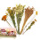 Flower Hamster Bedding For Hamsters And Gerbils  Natural Theme Cage Decor, Flower Pattern 1