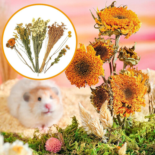 Flower Hamster Bedding For Hamsters And Gerbils  Natural Theme Cage Decor, Flower Pattern 1