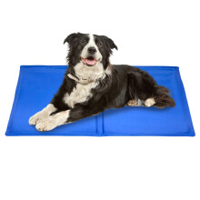 Dog Cooling Mat with Fast Cooling Gel, Waterproof Pet Cooling Pad for Crate Travel Summer Blue M