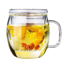 Glass Tea Cup with Infuser and Lid 500ml Borosilicate Glass Mug for Loose Leaf and Black Tea Brewing