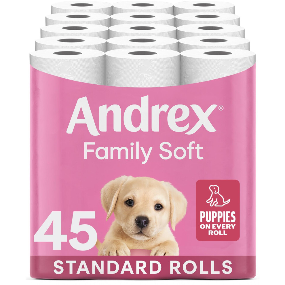 Andrex Family Soft Toilet Tissue 45 Rolls (Previously Gentle Clean) Gentle On Your Family?S Skin? Bulk Pack Of 45 Toilet Rolls, Fsc Certified