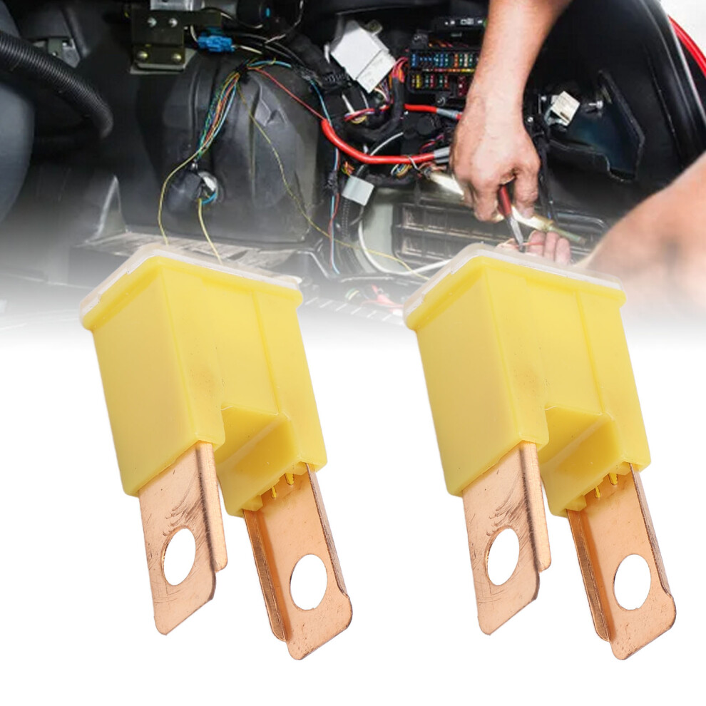10Pcs 60A 32V Straight Male Terminal Fuse For Automotive Replacement 7901383400070