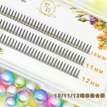 (C 0.07mm, Black 10-11-12mm) Brown Lashes A Type False Eyelashes 8-12mm Fake Lashes Natural Fairy Lash Korean Makeup Strand Eyelash Cluster Eye Lashes