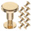 50Pcs Golden Rivet Screw Set for Scrapbooking Binding 3