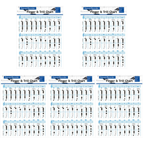 5Pcs Multi Color Clarinet and Flute Note Charts for Student Practice 1