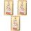 3Pcs Chinese Style Amulet Card for Blessing and Protection 4