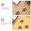 40Pcs Multi-Color Wooden Push Pins Flat Head Memo Board Tacks 5