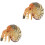 2Pcs Lightweight PVC Nautilus Toy Assorted Color Cognitive Model 4