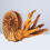 2 Pcs Solid Simulation Nautilus Model Marine Life Figure Toy 9