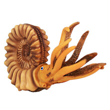 2 Pcs Solid Simulation Nautilus Model Marine Life Figure Toy