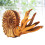 2 Pcs Solid Simulation Nautilus Model Marine Life Figure Toy 10