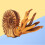 2 Pcs Solid Simulation Nautilus Model Marine Life Figure Toy 11