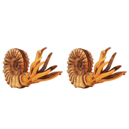 2 Pcs Solid Simulation Nautilus Model Marine Life Figure Toy 1