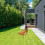 4Pcs Multi Acrylic Decorative Chicken Stakes for Lawn Garden Use 6