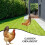 4Pcs Multi Acrylic Decorative Chicken Stakes for Lawn Garden Use 8