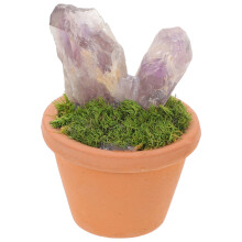 Mini Paarse Kristallen Bonsai Plant Voor