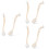 6St Compacte PP - En Schoonmaakborstel Beige Met Handvat 5
