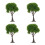 4pcs Miniature Trees for Crafts Mini Landscape Sand Table Decor 10
