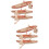 2Sets Plastic Boat Model Beige ABS Retro Desktop Decor for Car Use 9