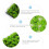 De Touffes De Pelouse Miniature Verte Résine Pour Modèles 11