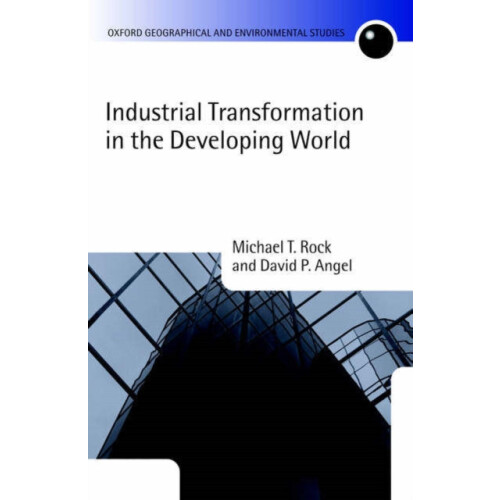 Industrial Transformation in the Developing World by Michael T. Rock H